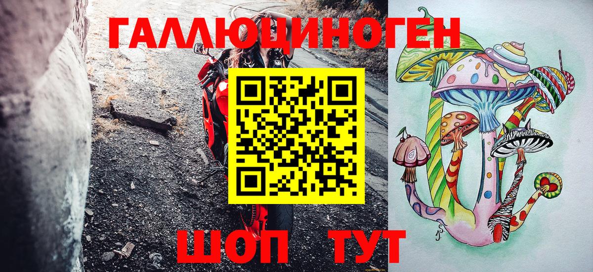 Галлюциногенные грибы GOLDEN TEACHER Димитровград